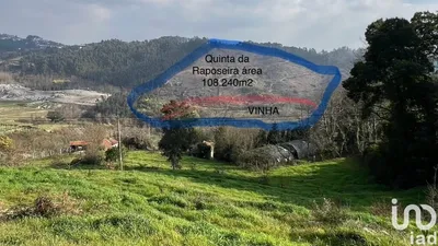 Fotografia 3 de Terreno rústico de 159 460 m² em Banho e Carvalhosa