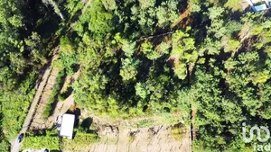 Building plot  at Forjães