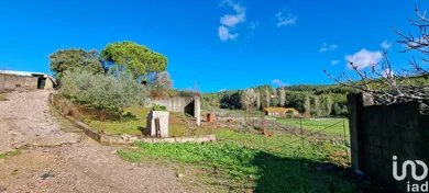 Land  in Rio Maior
