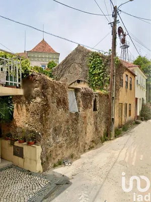 Building plot at Pinheiro da Bemposta, Travanca e Palmaz