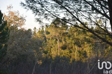 Land  in Areias e Pias