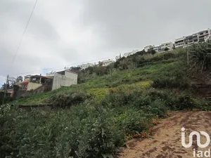 Terreno  em Funchal (Santa Maria Maior)