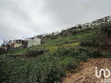 Land  in Funchal (Santa Maria Maior)