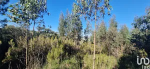 Land at Venda do Pinheiro e Santo Estêvão das Galés