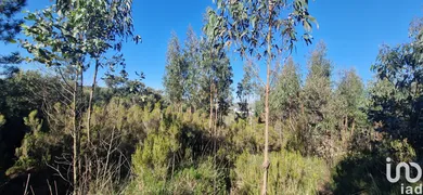 Land at Venda do Pinheiro e Santo Estêvão das Galés