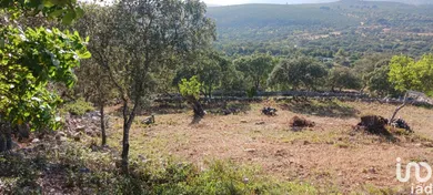 Terreno em Loulé (São Sebastião)