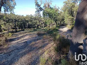 Farm land  at Galveias