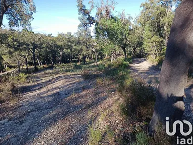 Farm land  at Galveias