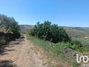 Farm land  at Poiares