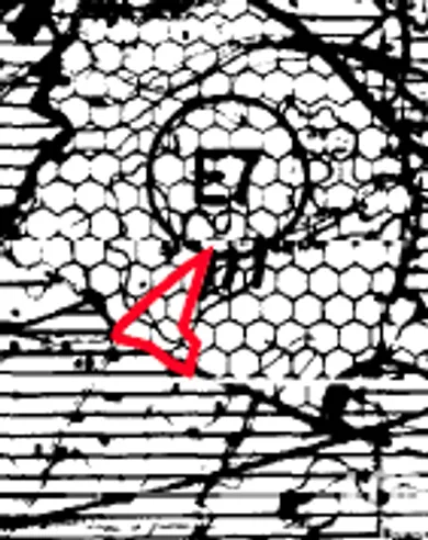Terrain  à Quarteira