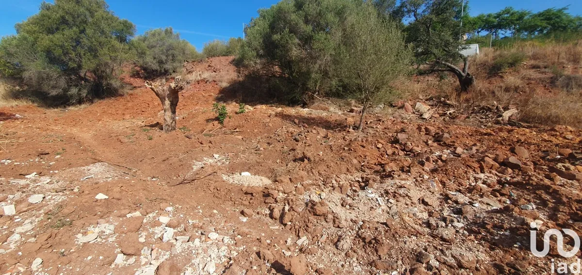 Terreno de 572 m² em São Bartolomeu de Messines