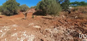 Terreno em São Bartolomeu de Messines