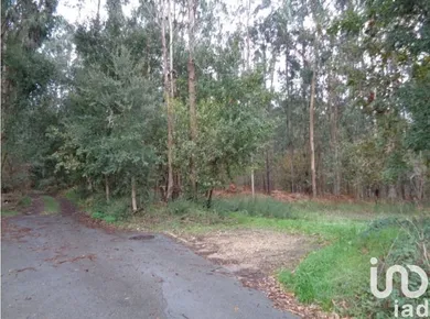 Terreno  em Ovar, São João, Arada e São Vicente de Pereira Jusã