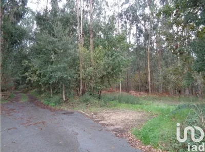Fotografia 3 de Terreno de 7047 m² em Ovar, São João, Arada e São Vicente de Pereira Jusã