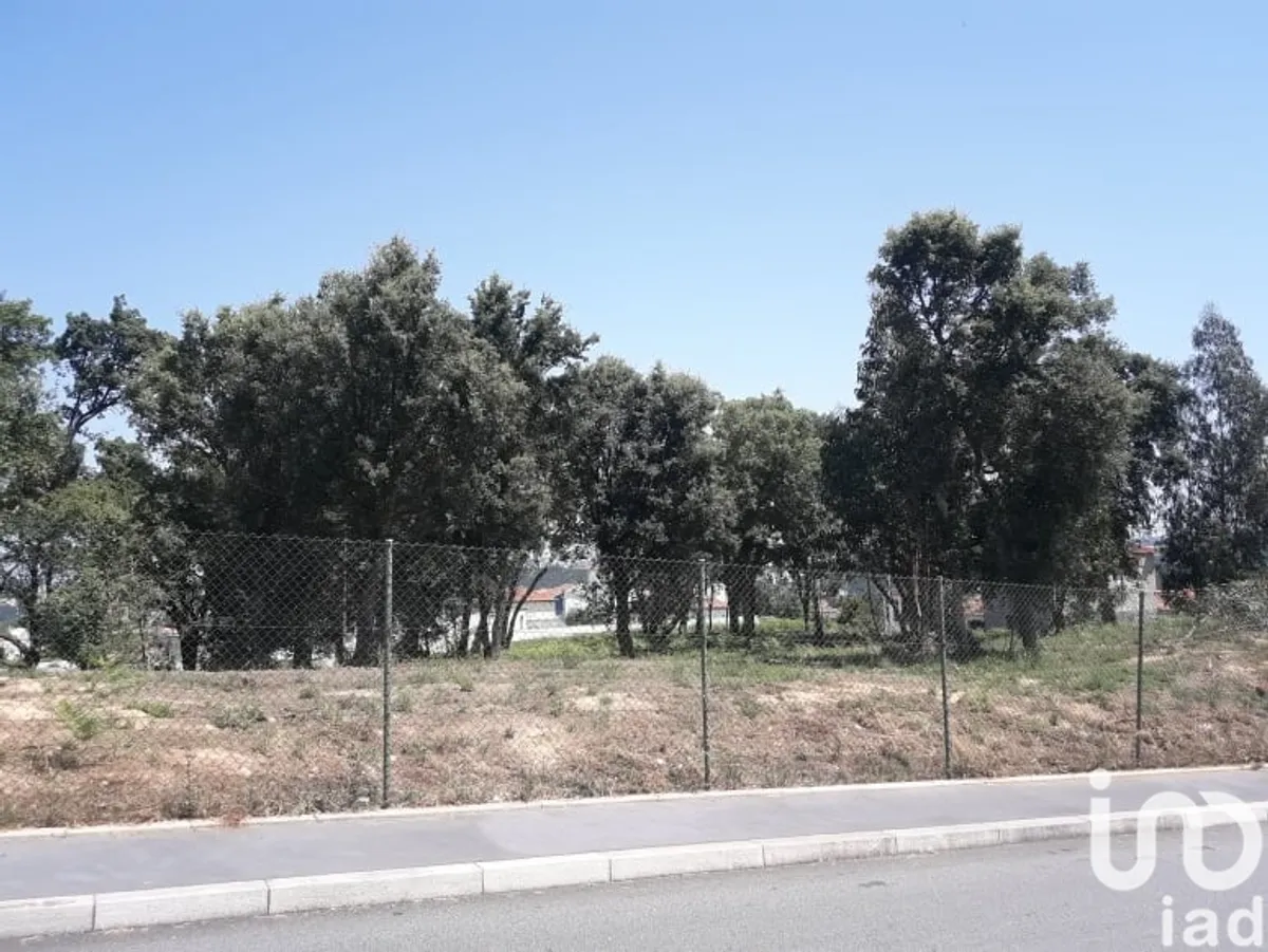 Terreno de 4500 m² em Avintes