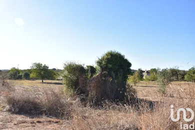 Terreno urbano  em Areias e Pias