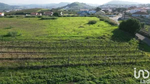 Terrain à Freiria
