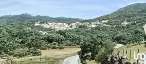 House  at Ribeira de Nisa e Carreiras