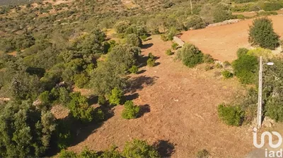 Fotografia 3 de Terreno de 1840 m² em Conceição e Estoi