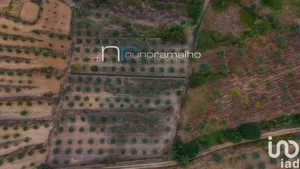 Terreno em Poço do Canto