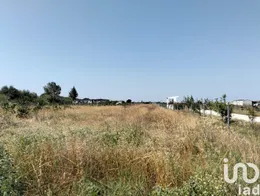 Terrain  à Benfica do Ribatejo