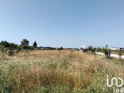 Fotografia 3 de Terreno de 6720 m² em Benfica do Ribatejo