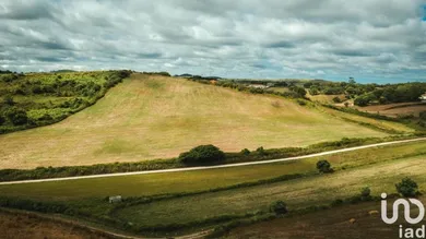 Terreno  em Santa Maria, São Pedro E Matacães