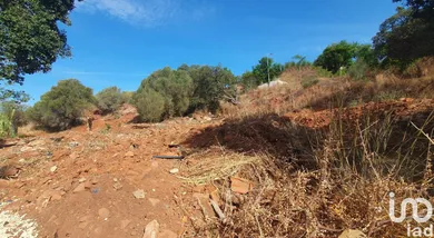Terrain à São Bartolomeu de Messines