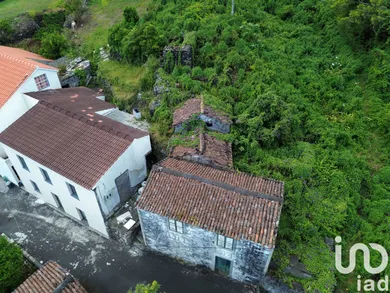 House  in São João