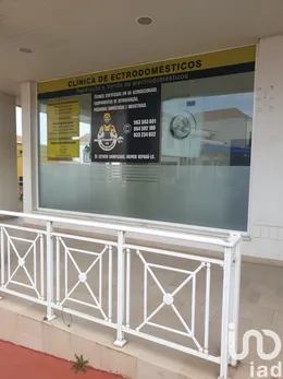 Loja / Estabelecimento Comercial em Lagoa e Carvoeiro