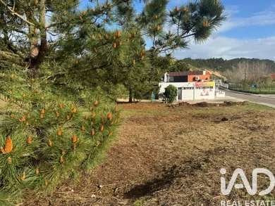 Terreno urbano  em Tornada e Salir do Porto