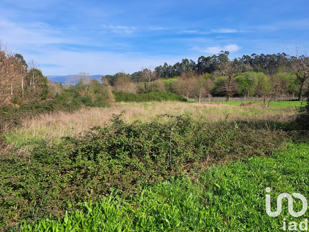 Terreno rústico de 1354 m² em Pico de Regalados, Gondiães e Mós