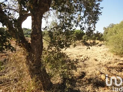 Fotografia 3 de Terreno de 3960 m² em Albufeira e Olhos de Água