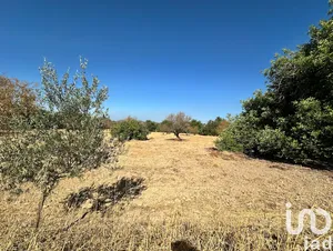 Land  in Luz de Tavira e Santo Estêvão