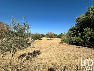 Land  in Luz de Tavira e Santo Estêvão