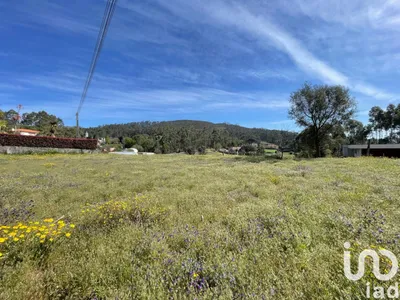 Fotografia 3 de Terreno de 3000 m² em Campo E Tamel (São Pedro Fins)