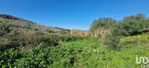 Land at Venda do Pinheiro e Santo Estêvão das Galés