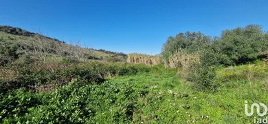 Land at Venda do Pinheiro e Santo Estêvão das Galés