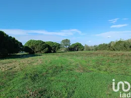 Terreno  em Sesimbra (Castelo)