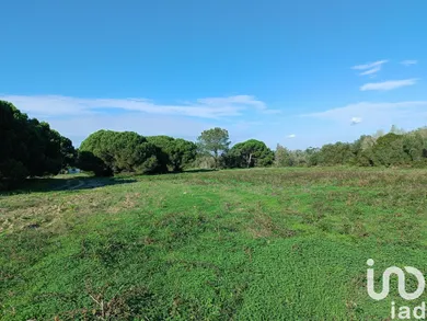 Terreno  em Sesimbra (Castelo)