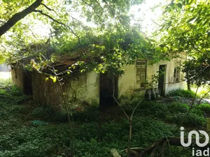 Quinta  em Vila Nova De Cerveira E Lovelhe