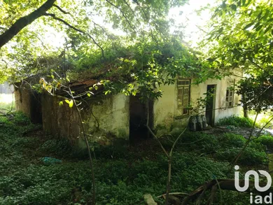 Ferme  à Vila Nova De Cerveira E Lovelhe