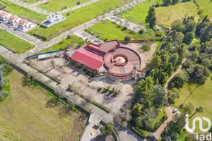 Domain  at Assunção, Ajuda, Salvador e Santo Ildefonso
