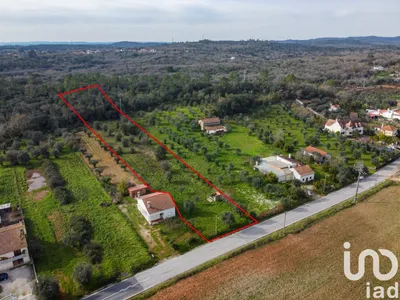 Fotografia 3 de Terreno de 5800 m² em Areias e Pias