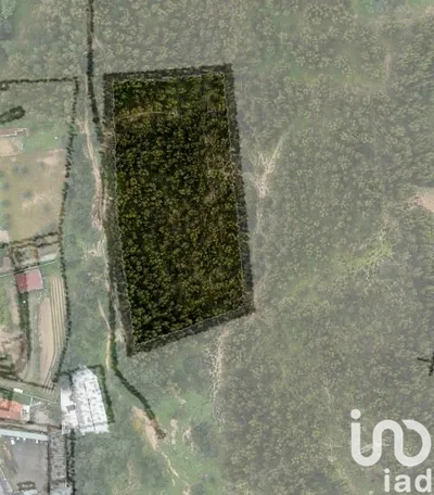 Fotografia 5 de Terreno misto de 42 600 m² em Palmela