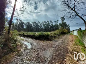Land  at Vila de Punhe