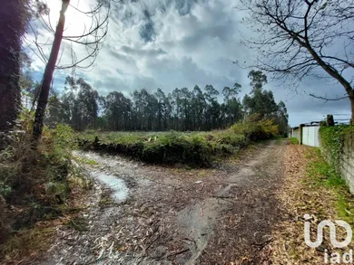 Terreno em Vila de Punhe