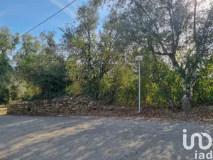 Land in Poiares (Santo André)