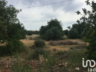 Land  in Loulé (São Sebastião)