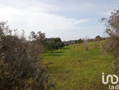 Terreno em Santa Eufémia e Boa Vista